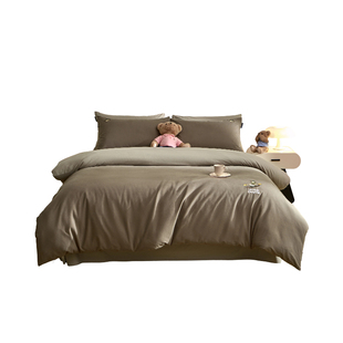 TeenieWeenie高端加厚磨毛全棉四件套床单被套三件套轻奢秋冬床品