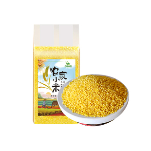 黄小米当季新米杂粮粮食用粥东北农家建昌非山西5斤装特产