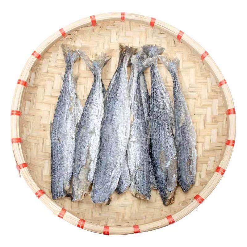 北海尖头马鲛鱼咸鱼干