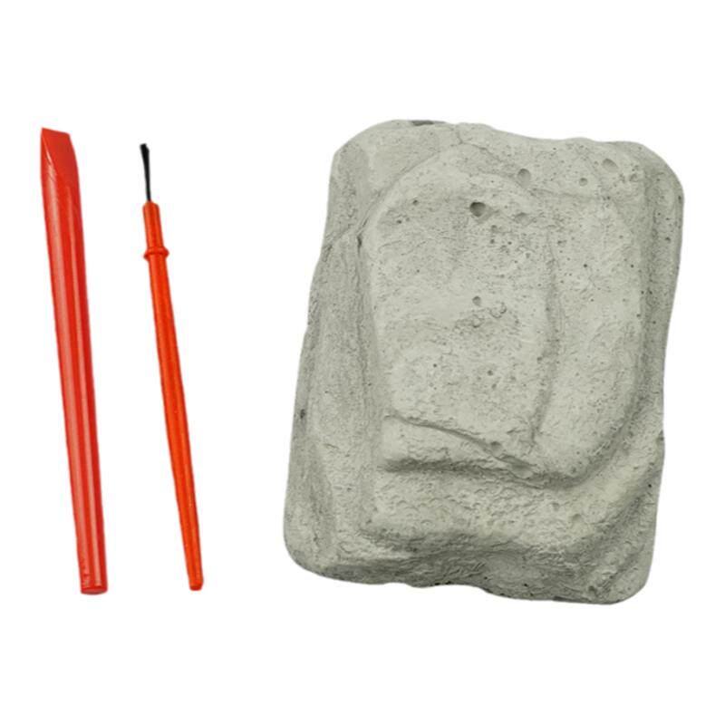 diy恐龙化石科技小制作儿童玩具