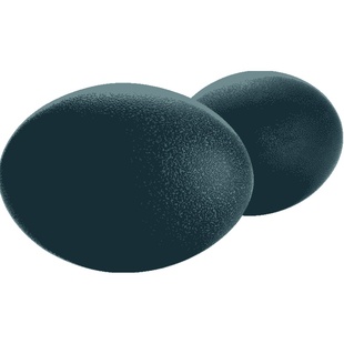 空壳无蛋液鸸鹋蛋壳雕刻鸸鹋空蛋壳另有新鲜鸵鸟蛋蛋雕刻手工艺品