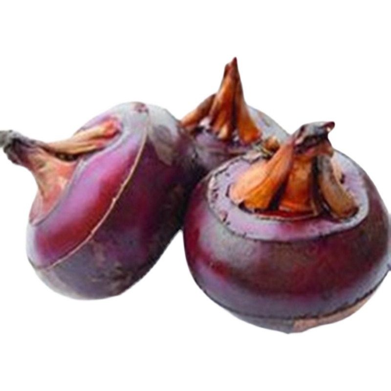 9年老店小吃时令马蹄王多汁新鲜脆甜荸荠即食水果蔬菜广西桂林产