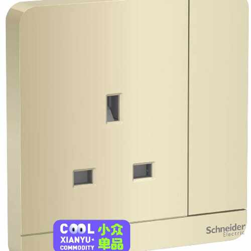 Schneider 施耐德 E8315_WG_C5 13A