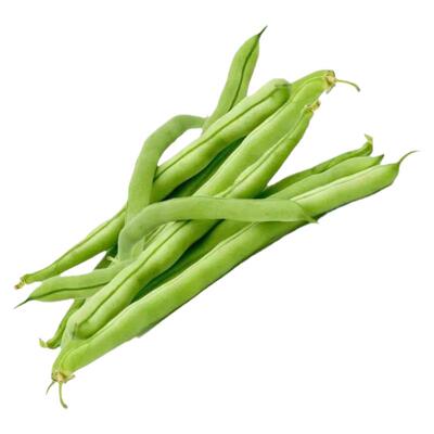 四季豆苗种孑种子长豆角豇豆种籽蔬菜苗秧苗大全适合春天种的菜苗