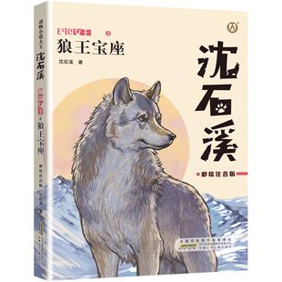 狼王宝座 沈石溪动物小说 彩绘注音版fb一年级课外书二年级儿童文学图书小学生三年级课外阅读书籍