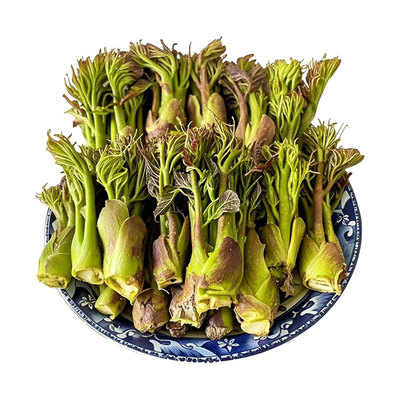 【东北特产】刺嫩芽山菜