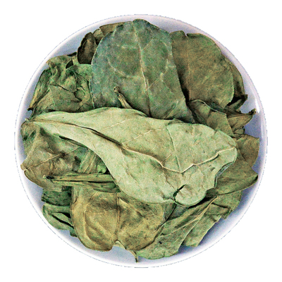 龙脷叶中药材正品龙俐叶粉龙利叶