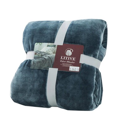 出口日本秋冬云貂绒加厚素色毛毯