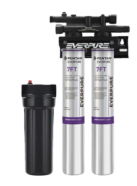 爱惠浦7FT双联商用大流量净水器