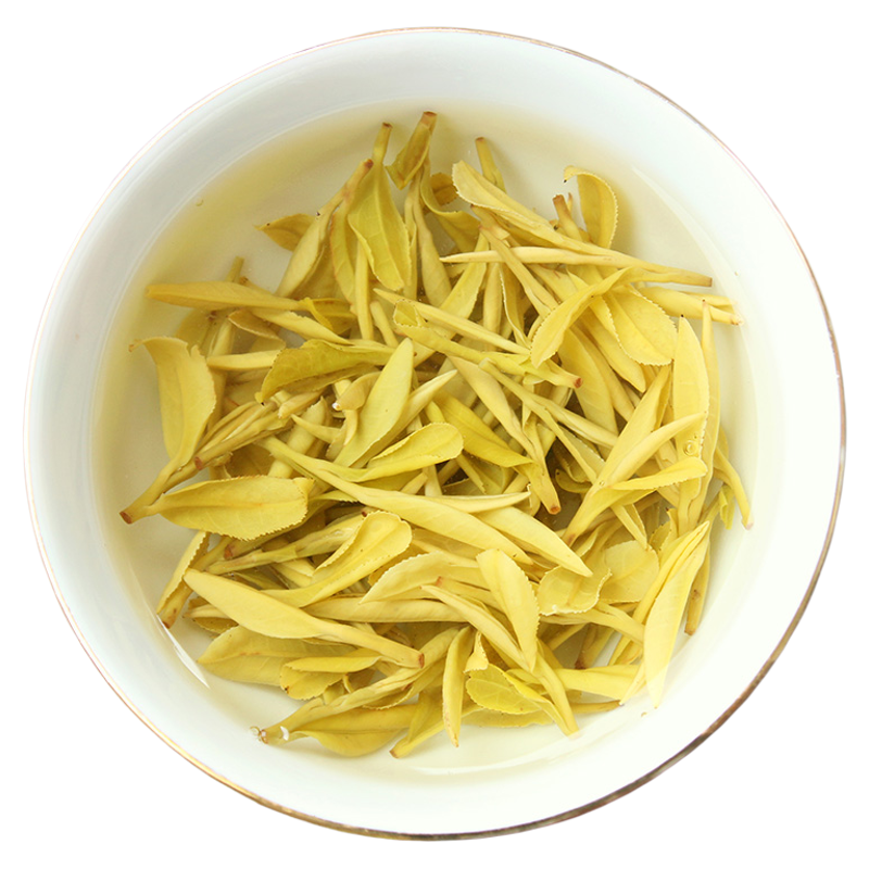 黄金芽 短肥【明前二采3优-乐茁黄金叶白茶】2026年新茶安吉正宗