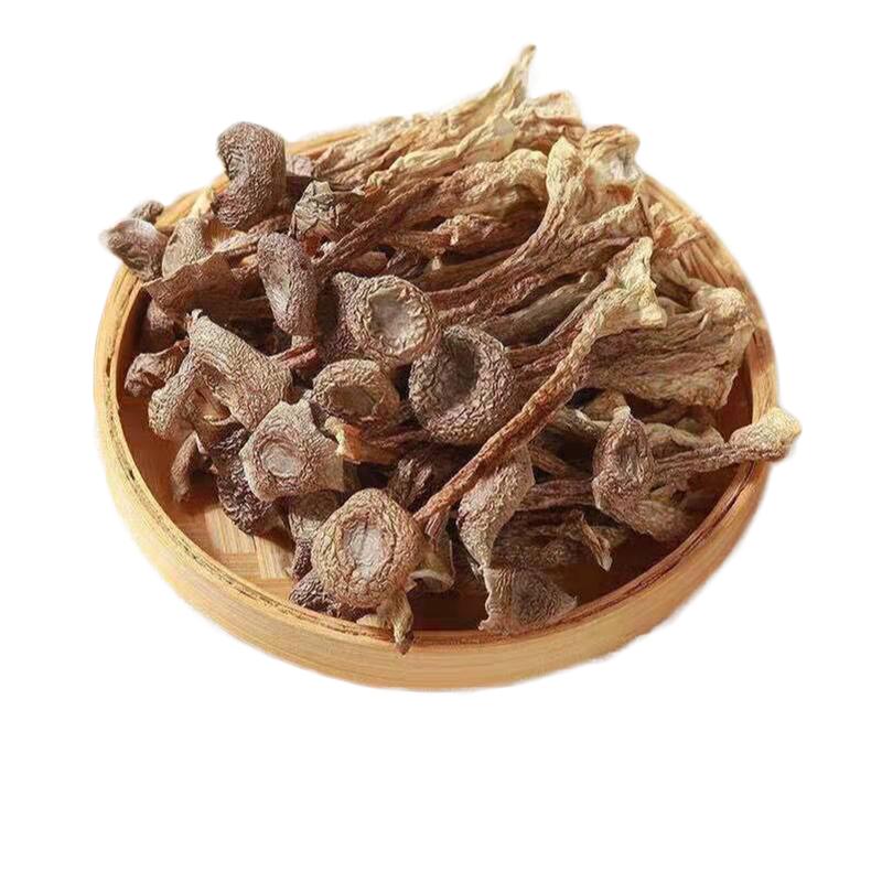 鹿茸菇干货特级一级鹿茸菌无硫非野生菌菇蘑菇香菇散装煲汤食材
