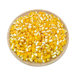 大粒笨碴子新粮大号做东北玉米大碴子粥苞脱皮玉米糁打豆浆玉米糊