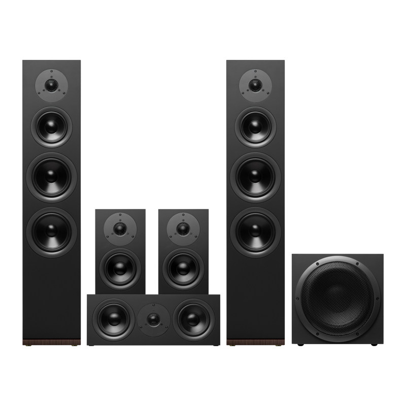 Hivi/惠威 Dynamic 160套装家庭影院环绕音响5.1电视客厅组合音箱