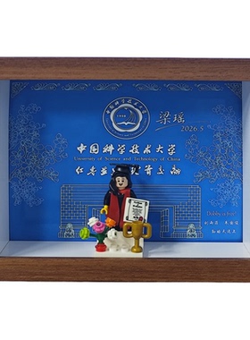 中国科技技术大学乐高相框礼物