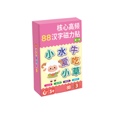 早教汉语拼字识字磁力卡片训练卡