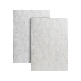 朵云文房用纸 冰梅笺 描金 描银 云舒系列 半生熟 宣纸 小楷 对联纸 10张 半生半熟宣纸笺纸书法