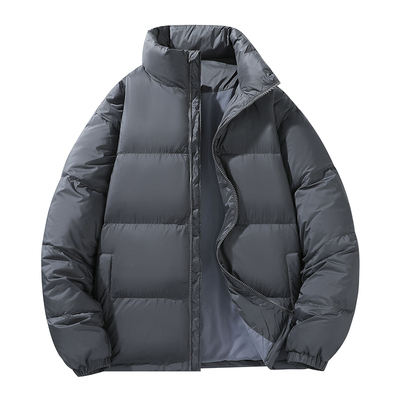 男士白鸭绒纯色立领羽绒服