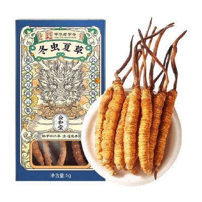 冬虫夏草头期野外生精选虫体饱满