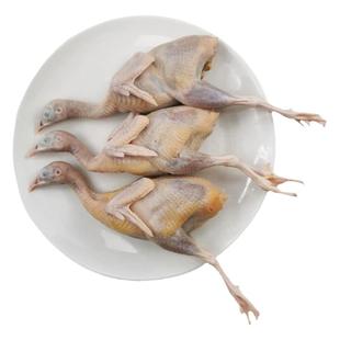 鹧鸪鸟 桃李旺 新鲜活体现杀 飞龙肉 农家散养老鹧鸪肉生鲜鸟肉