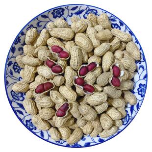湖南炎陵土特产新货小粒红皮花生农家晒干老品种紫皮5斤带壳包邮