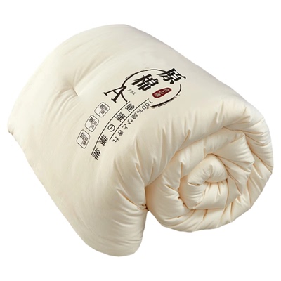 被子四季通用加厚保暖6斤