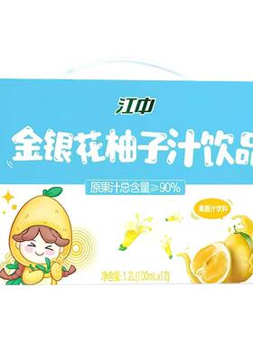 江中金银花柚子汁酸甜可口礼盒装