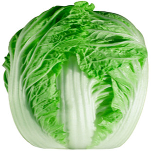 夏绿50天夏季高温种孑夏阳白菜种子耐热白菜四季夏秋播大白菜种籽