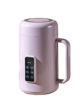 110V/220V电炖杯煲汤烧水养生壶