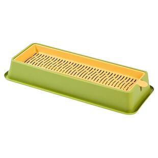 猫草盆栽无土水培化毛球懒人种植小麦种子育苗盘化毛草猫咪零食