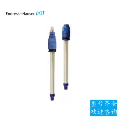 议价EH温度补偿电极CTS1-A2GSA恩德斯豪斯温度感测器监视器热电阻