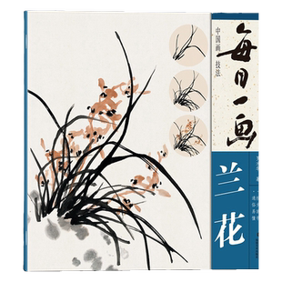 每日一画 兰花中国画技法国画入门基础教程书写意水墨画花鸟册页 工笔画花卉技法画法大全集  国画初学者画花卉蔬果技巧 福建美术