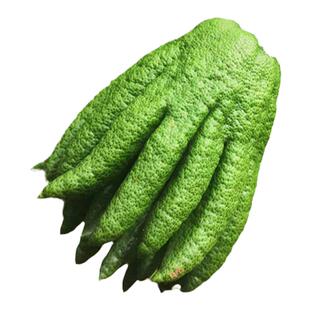 现摘新鲜佛手果佛手柑鲜果润喉鲜佛手3斤果实中药材果树苗香橼茶