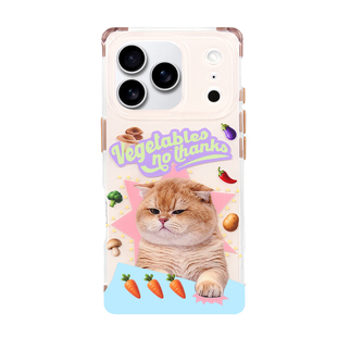 PaPaPa制造局  [挑食猫猫]新款可爱手绘卡通磨砂四角可拆卸保护手机壳适用于17promax苹果15promax手机壳