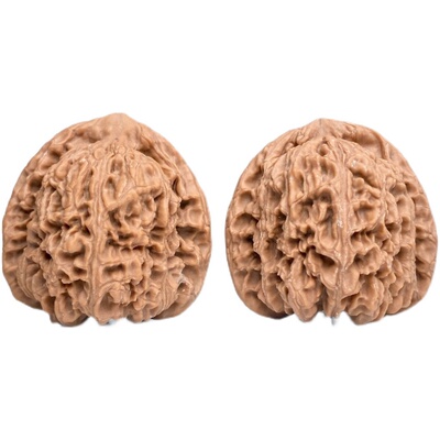 文玩核桃麒麟纹大官帽一物一图