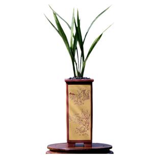 高端墨兰图斑艺草秋榜彩云山水四季建兰花七彩丹霞带花苞浓香盆栽