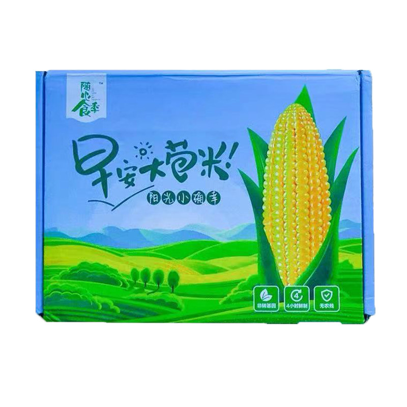 麦秀年早安大苞米非转基因甜糯