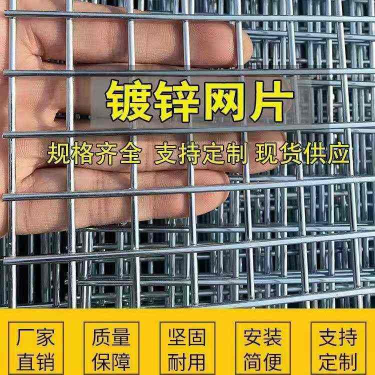 小格铁丝网片鸟笼兔笼鸽舍鸽棚围网镀锌护栏网养殖底网镀锌铁丝