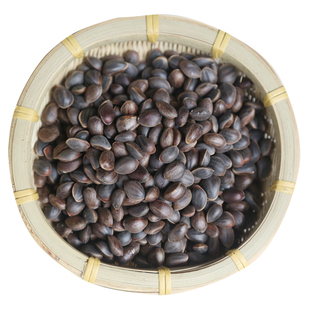 云南哀牢山高山野生松子【新鲜生松子】1000克装 晒干生松子包邮