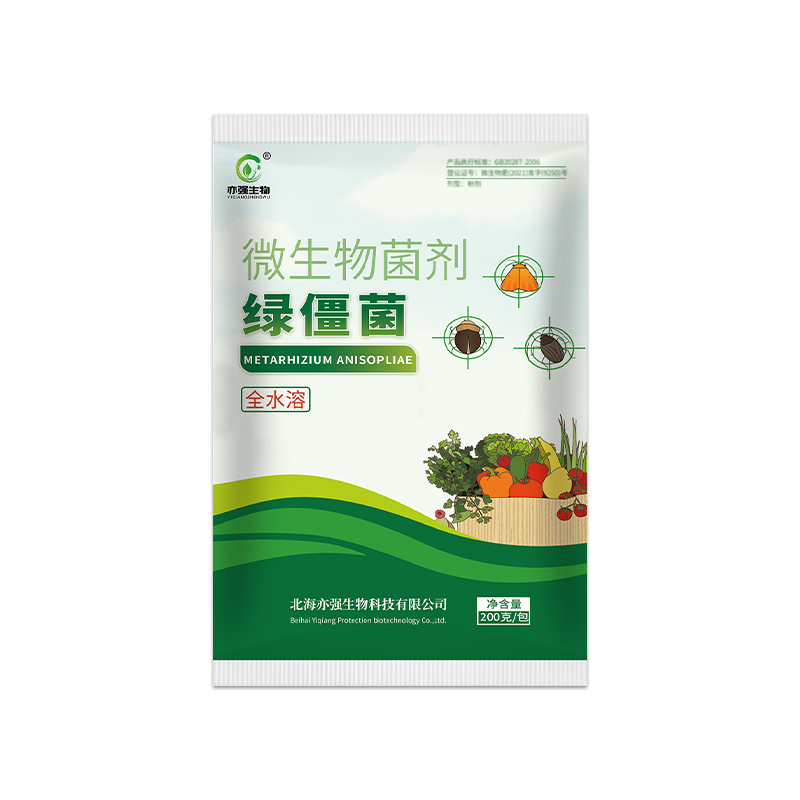 全水溶微生物菌剂绿僵菌侵染地老虎玉米螟菜青虫臭虫蚜虫等害虫