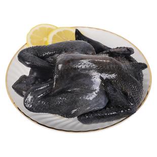 散养乌骨鸡新鲜现杀土鸡白凤乌鸡活鸡生鲜冷冻老母鸡整只非活苗