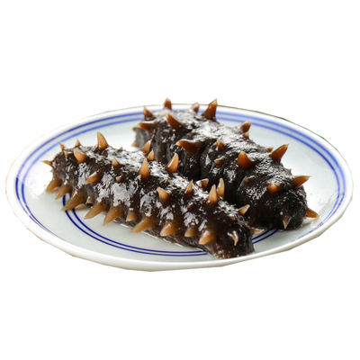 大连即食海参单个装野生500克