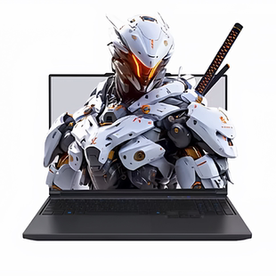 MECHREVO/机械革命蛟龙16Pro/极光X独显RTX5060游戏本笔记本电脑