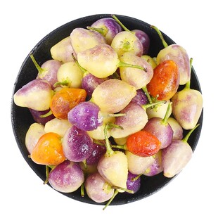 正宗广西五彩椒泡椒种子七彩辣椒种籽四季小灯笼椒种大田蔬菜种孑