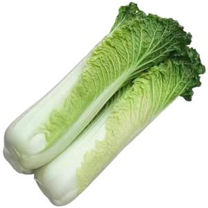 顺丰包邮云南青麻叶白菜蔬菜新鲜高山大白菜核桃纹白菜青口白菜