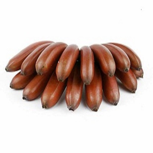 果园直销新鲜红皮香蕉福建土楼特产红美人蕉水果5斤包邮