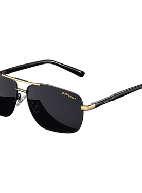 墨镜变色日夜两用钓鱼司机太阳镜