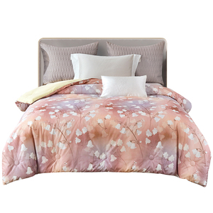 菲罗菈AB面磨毛数码印花羽丝绒冬被子纤维棉秋冬季被褥子春秋被芯