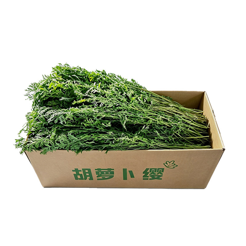 烘干胡萝卜缨樱兔子龙猫豚鼠干草