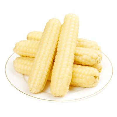 华田禾邦云南2025年新鲜拇指玉米