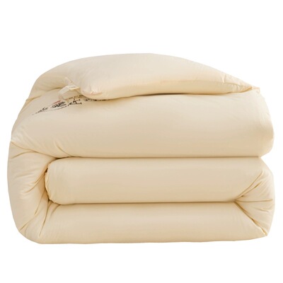 顺丰包邮加厚保暖宿舍被四季通用